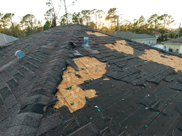 Best Sheet Metal Roofing  in Fort Totten, ND